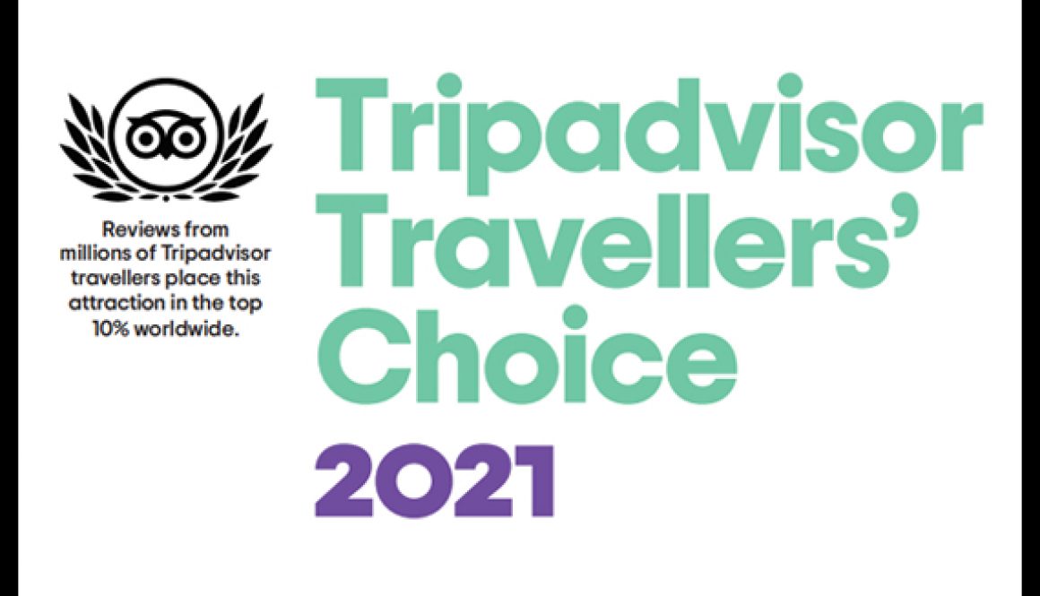 CAPA TRIPADVISOR